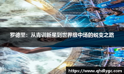 evo视讯官网