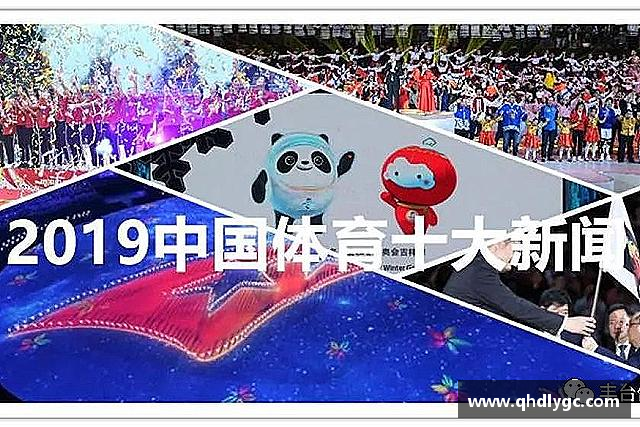 发现evo视讯